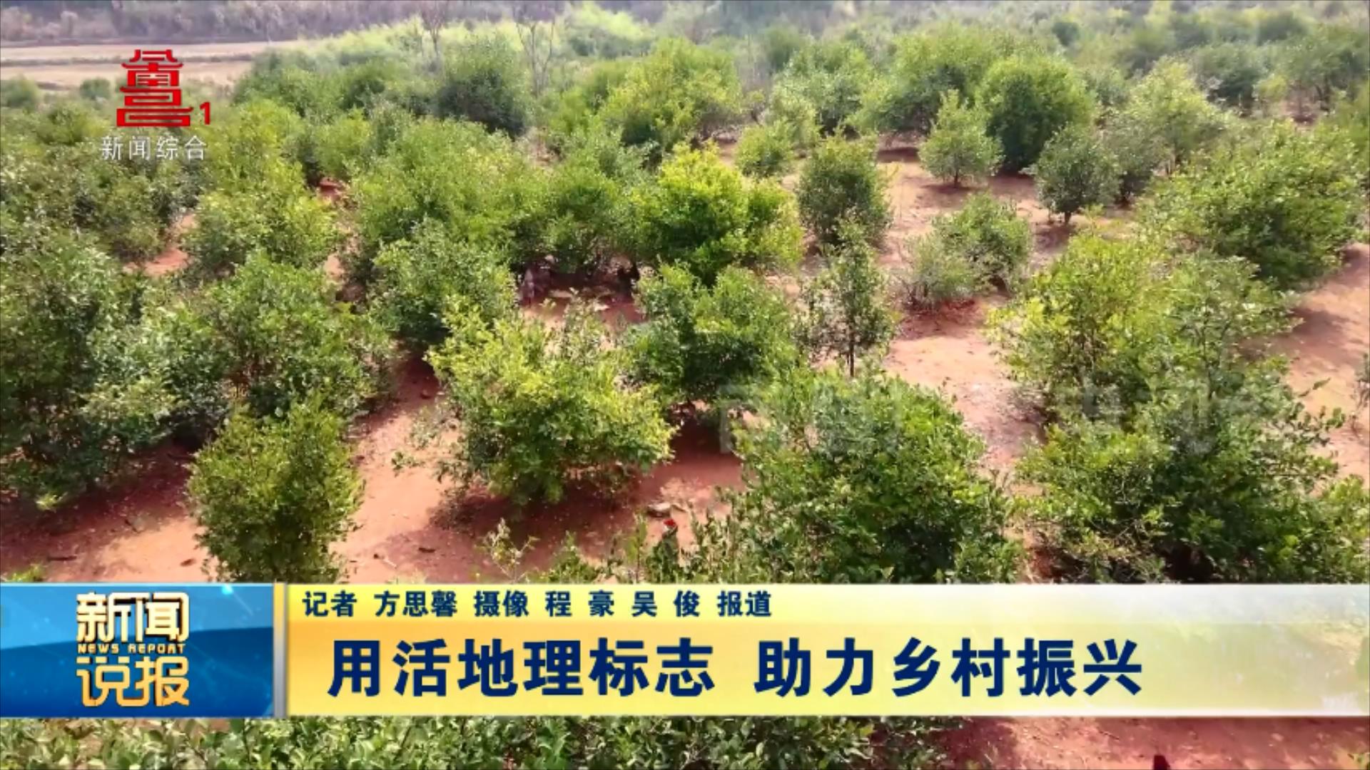 用活地理标志 助力乡村振兴