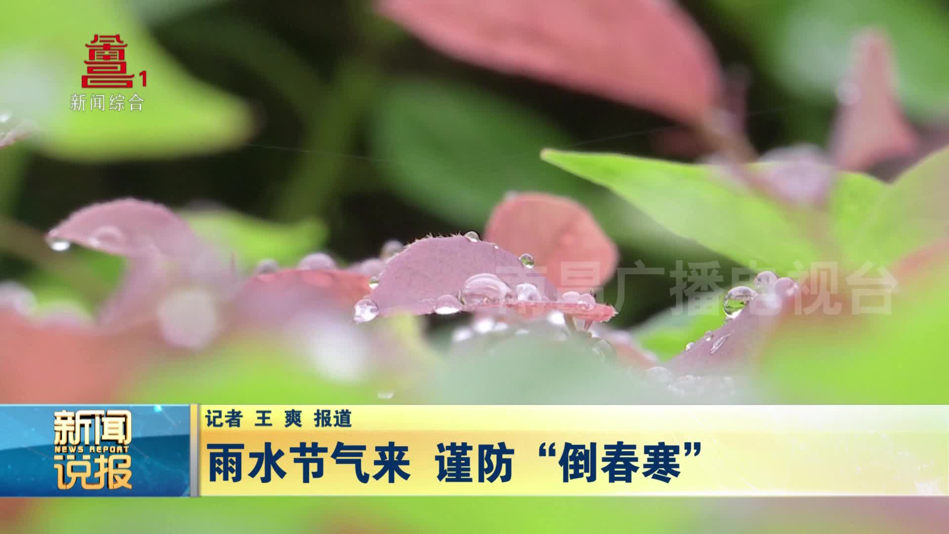 雨水节气来 谨防“倒春寒”